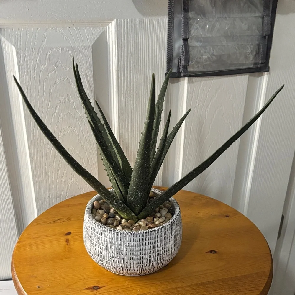 Artificial Aloe Plant in White Woven Clay Pot
